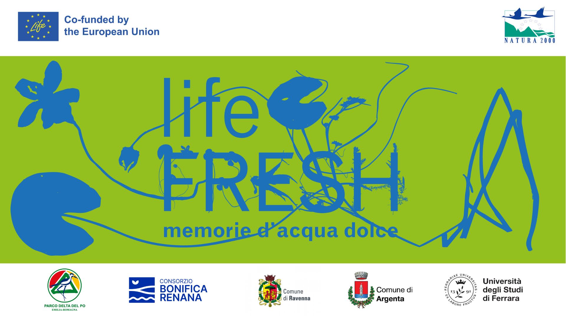 Life FRESH